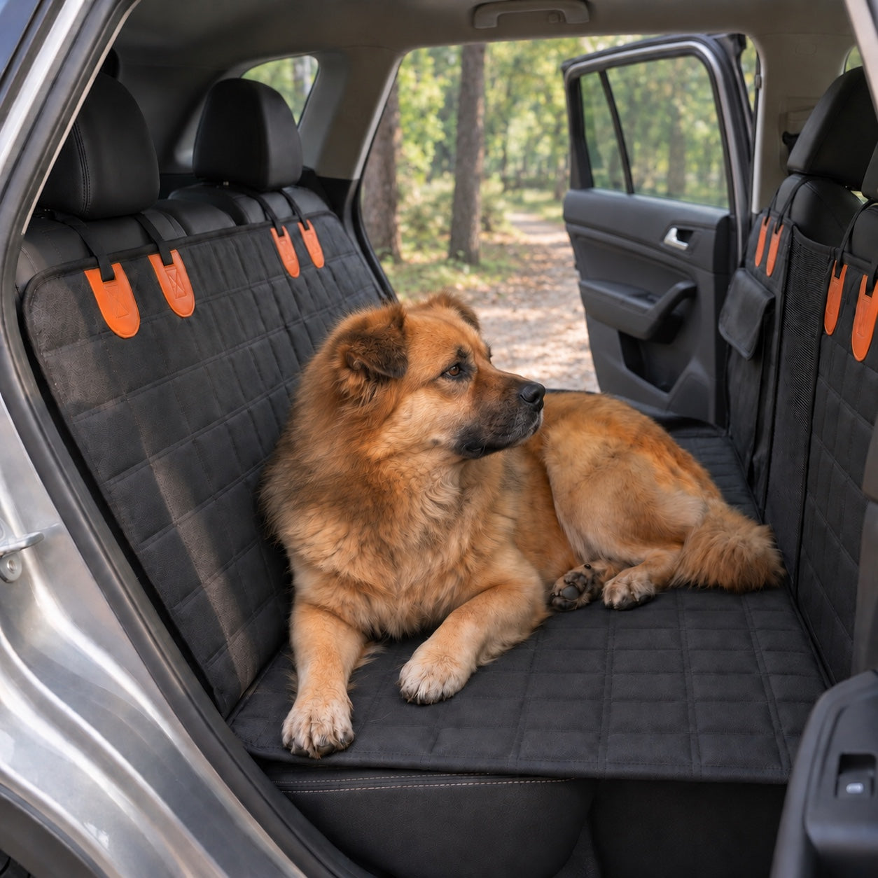 Un chien couché dans la housse WAGGO avec la portière ouverte