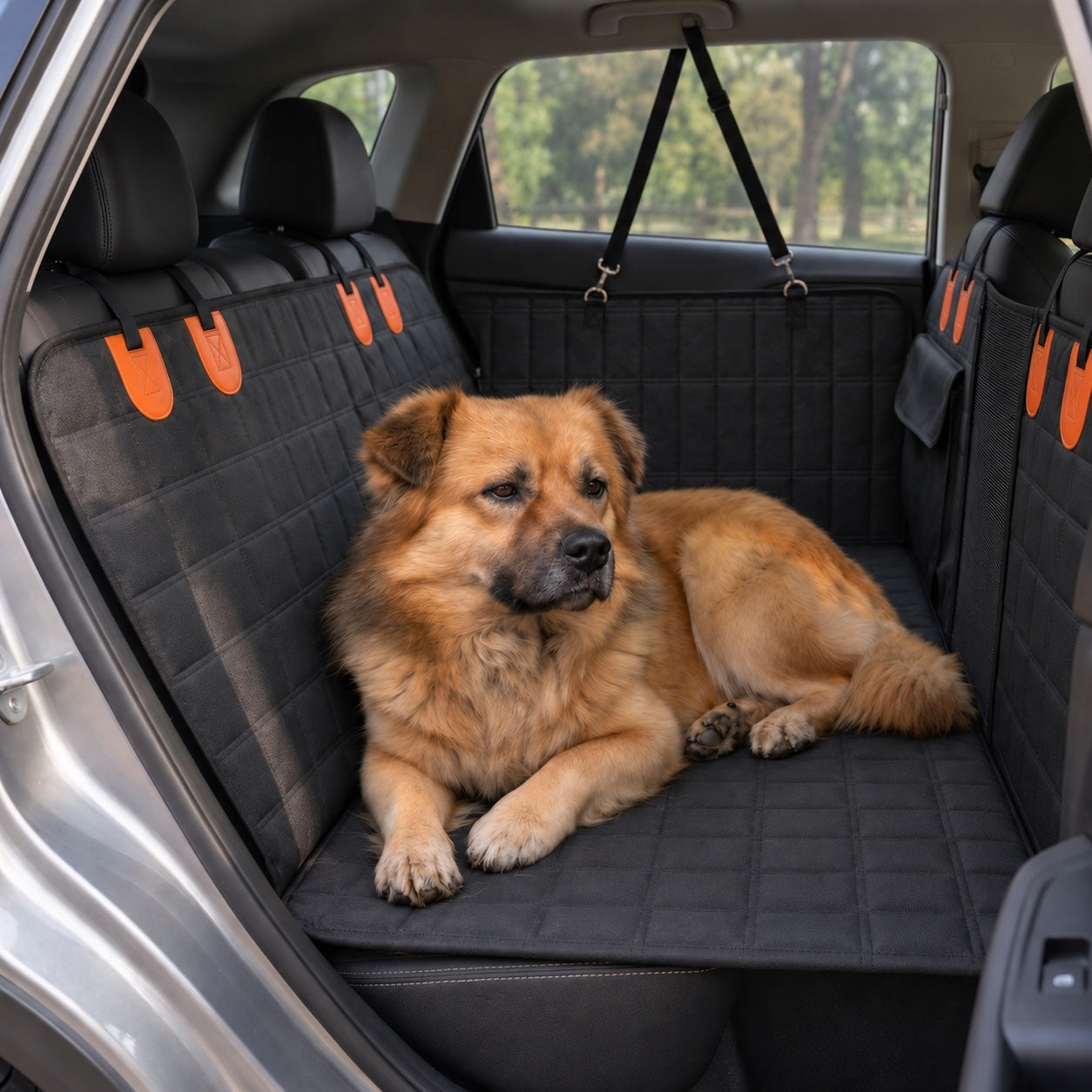 Un chien couché sur la surface agrandie par la housse WAGGO